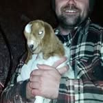 Dave Struthers - @davestruthersdodge - Instagram