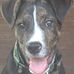 David Stutts - Facebook
