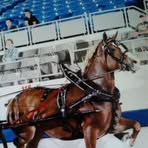 Dave Stutzman - Facebook