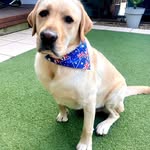 Dave Summerfield - @squidlee21 - Instagram