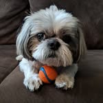 Dave Summers - @davesummersis - Instagram