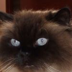 Dave Sutherland - @dave.sutherland.526 - Instagram