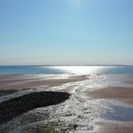 Dave Sutherland - @urologydave - Instagram