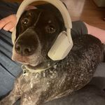 Dave Sutherland - @dave.sutherland - Instagram