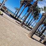 Dave Sutherland - @dave_sutherland1 - Instagram