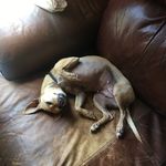 Dave Sutton - @davesutton60 - Instagram
