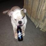 Dave Sutton - @davesutton6580 - Instagram