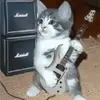 Swaggerboy_forever - @dave_swagger - TikTok