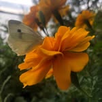 David Sweatman - @dave_sweatman - Instagram
