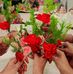Seema Dave - Facebook