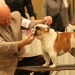 Dave Tackett - @tntsbulldogs - Instagram