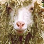 Dave Taft - @taftdave - Instagram