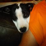 Dave Taft - @dave.taft - Instagram