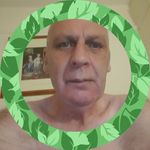 Dave Mc Taggart - @dave.mctaggart.332 - Instagram