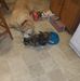 Dave Taggart - Facebook
