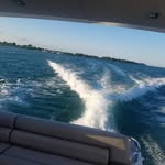 Dave Tank - @tankdave - Instagram