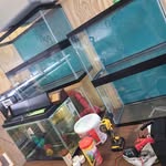 Fish tanks forsale - @dave.fishtanks - Instagram