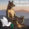 Tao Dave - @tao.dave - TikTok