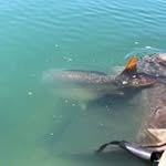 Dave Tackle Tart Evans - @dave.t.evans.3 - Instagram