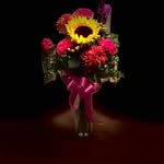 Dave Tarter - @dave.tarter - Instagram