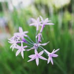 Dave T - @dave_tee_ - Instagram