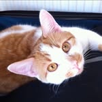 Dave Tee - @davetee4 - Instagram