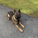 Dave Teets - @dave.teets71 - Instagram