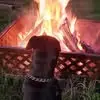 davetemple37 - @dave.temple58 - TikTok