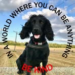 Dave Templeman - Facebook