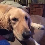 Dave Koteskey - @davekoteskey - Instagram
