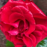 @dav_etest - Instagram