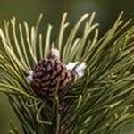 Dave insta - @davetestinsta - Instagram