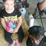 Dave Thatcher - @dave.thatcher.988 - Instagram
