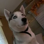 David Thibodeau - @d_thibodeau8 - Instagram