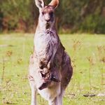 Dave Thiel - @dave.thiel.71 - Instagram