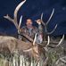 Dave Thiel - Facebook