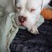 Dave Thiessen - Facebook