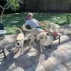 Dave Thorn - @dave19583 - TikTok