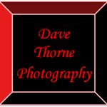 Dave Thorne - @davethornephoto - Instagram