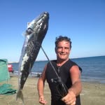 Dave Thornton - @dave.thornton.9461 - Instagram