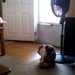 David Thrasher - @david.thrasher.9638 - Instagram