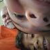 David Thrasher - Facebook