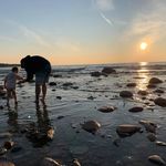 Dave Throop - @throop.d - Instagram