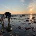 Dave Throop - Facebook
