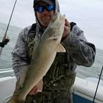 Dave Tice - @dave.tice - Instagram