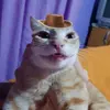Dave Stiles - @davestiles - TikTok