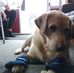 Dave Till - Facebook
