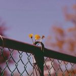 Dave Timmer - @venitadiercks121 - Instagram