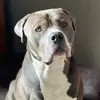 davetimmers7 - @davetimmers7 - TikTok