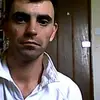 D dog - @davetimms721 - TikTok